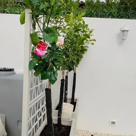Isabella * فونتاني بيانكي