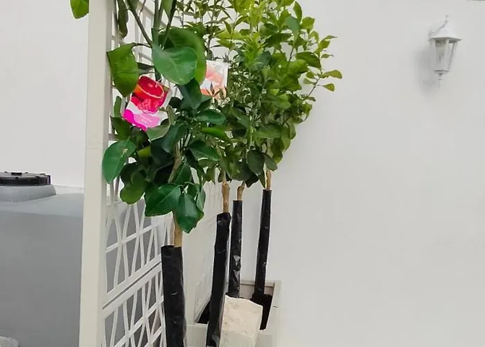 Isabella * Fontane Bianche